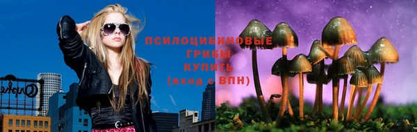амф Бронницы