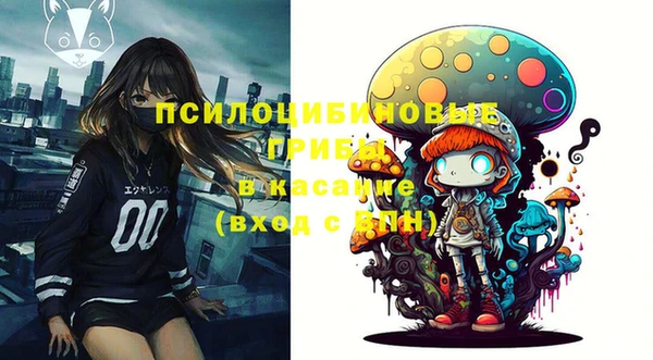 скорость Бородино