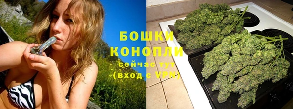 скорость Бородино