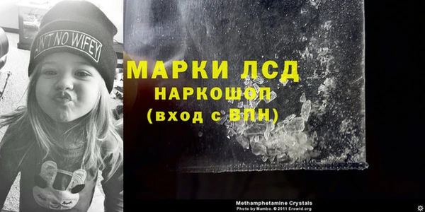 a pvp Новодвинск