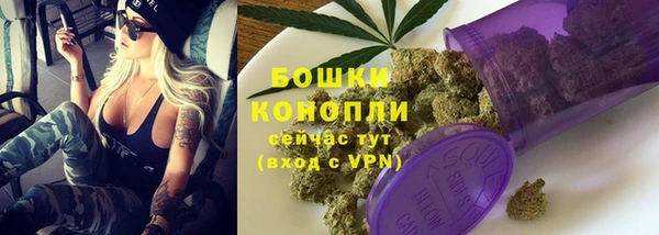 амф Бронницы