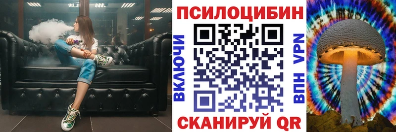 Псилоцибиновые грибы прущие грибы  наркотики  KRAKEN ССЫЛКА  darknet состав  Северобайкальск 