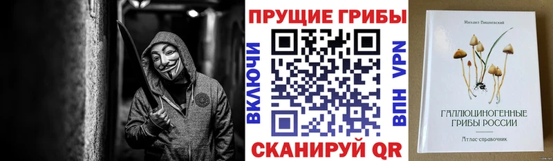 Псилоцибиновые грибы ЛСД Северобайкальск